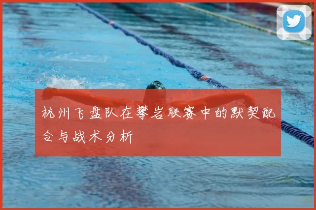 杭州飞盘队在攀岩联赛中的默契配合与战术分析