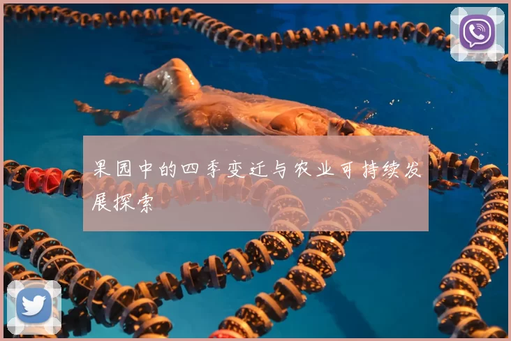 果园中的四季变迁与农业可持续发展探索