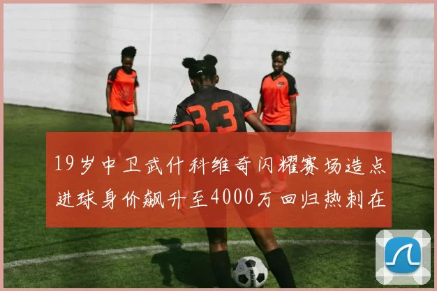 19岁中卫武什科维奇闪耀赛场造点进球身价飙升至4000万回归热刺在即