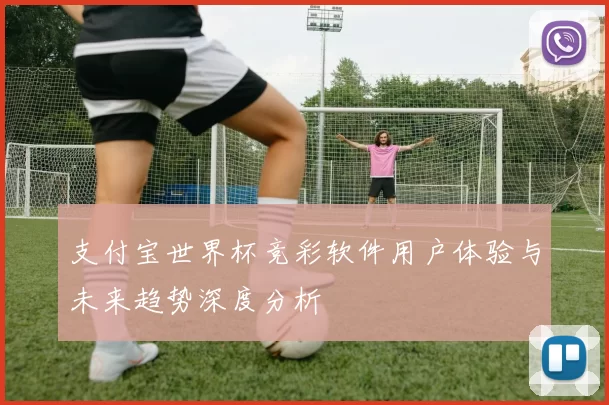 支付宝世界杯竞彩软件用户体验与未来趋势深度分析