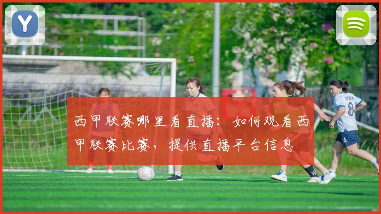 西甲联赛哪里看直播:如何观看西甲联赛比赛,提供直播平台信息