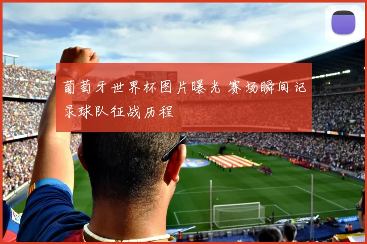 葡萄牙世界杯图片曝光 赛场瞬间记录球队征战历程