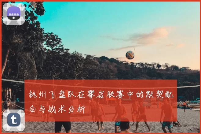 杭州飞盘队在攀岩联赛中的默契配合与战术分析