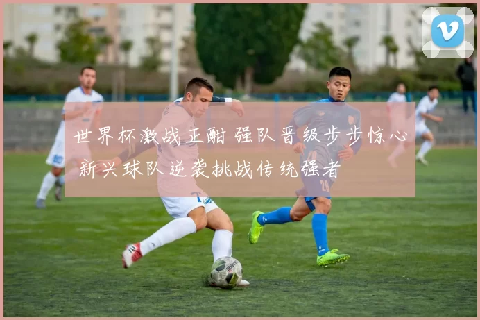 世界杯激战正酣 强队晋级步步惊心 新兴球队逆袭挑战传统强者