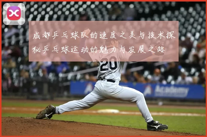 成都乒乓球队的速度之美与技术探秘乒乓球运动的魅力与发展之路