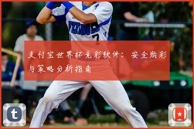 支付宝世界杯竞彩软件：安全购彩与策略分析指南