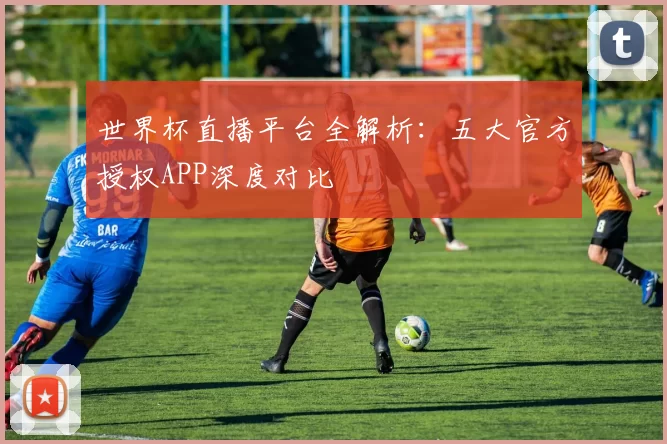 世界杯直播平台全解析:五大官方授权APP深度对比