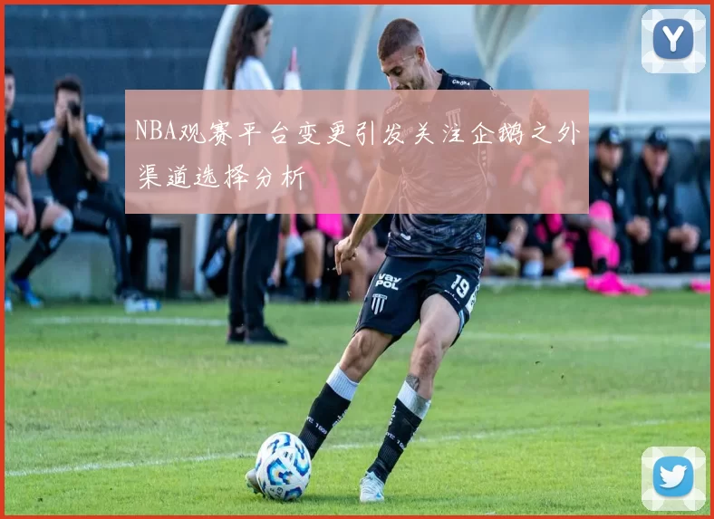NBA观赛平台变更引发关注企鹅之外渠道选择分析