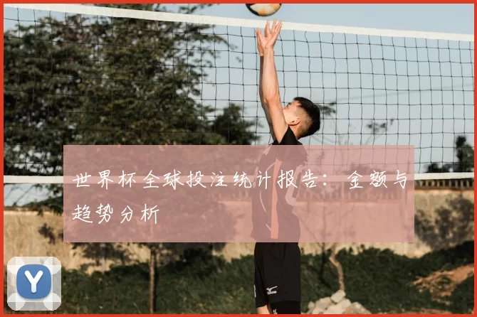 世界杯全球投注统计报告:金额与趋势分析