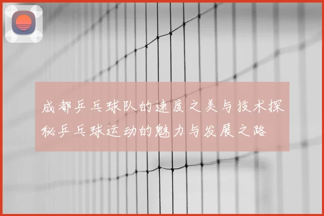成都乒乓球队的速度之美与技术探秘乒乓球运动的魅力与发展之路