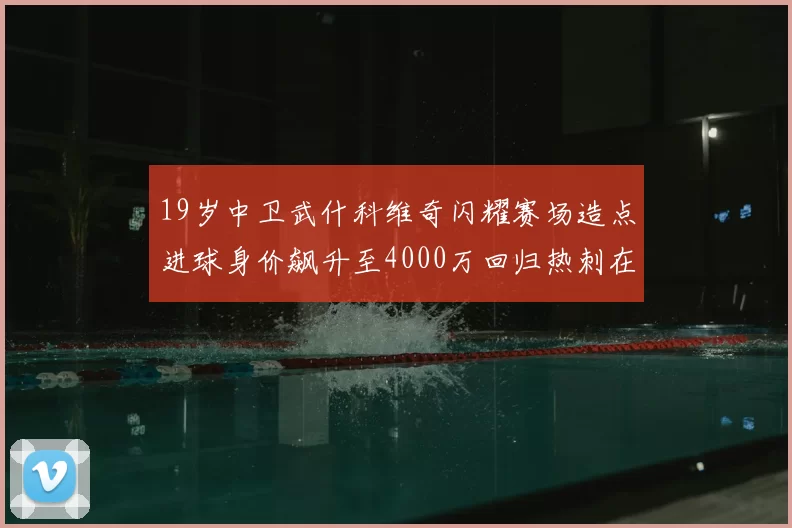 19岁中卫武什科维奇闪耀赛场造点进球身价飙升至4000万回归热刺在即