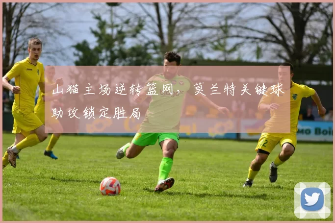 山猫主场逆转篮网，莫兰特关键球助攻锁定胜局